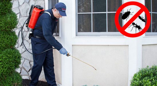 Gaziosmanpaşa Kemirgen İlaçlama böcek ilaçlama ve haşere kontrolü — ilaclama-tr.com